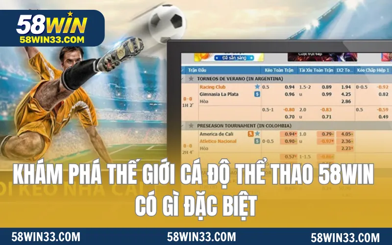 Khám phá thế giới cá độ thể thao 58WIN có gì đặc biệt